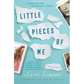 Little Pieces of Me: A Novel