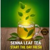 Zokiva Senna Leaf Tea 3-Pack 150 Bags BULK | Caffeine-Free
