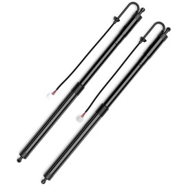 Autoexact Electric Rear Tailgate Power Lift Support Shock strut, Rear Hatch Struts, liftgate Struts Fit for Lexus RX 2016-2019, Left&Right, 1 Pair, 2Pcs Replaces OE# 6892048031, 6891048071