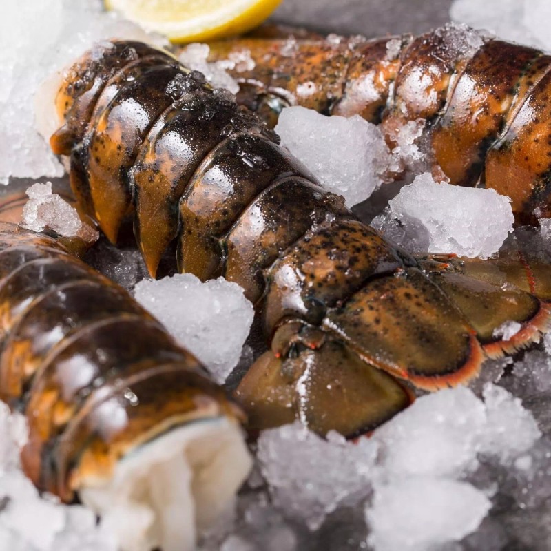 Today Gourmet Foods- Maine Lobster Tails 10oz-12oz - 2 Tails