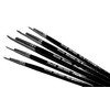Major Brushes Sable Substitue Brushes - Pack of 5