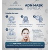 Adn Mask Colageno Con Secretoma, Exosomas Y Pdrn Salmón 4hrs