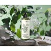 Kim So-hyung Hemile (Secret) (2+1) Herbal Raw Grain Pack Cleanser