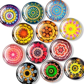 FINDMAG 12 Pcs Cute Fridge Magnets, Strong Refrigerator Magnets, Glass Refrigerator Magnets for Whiteboard, Kitchen, Locker Accessories, Home and Gift