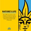Natures Life, Magnesium Malate, 1300 mg, 100 Tablets by Natures
