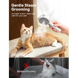 Cat Steam Brush, Brushes for Indoor Cats with Release Button, Dual Speed Spray USB Rechargeable Grooming Supplies, Cat Brush for Shedding Suitable for All Long-haired and Short-haired Pets