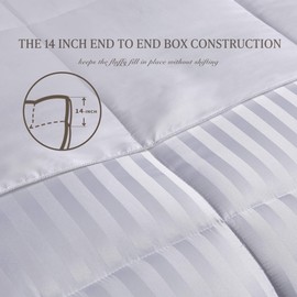 kathy ireland Home Essentials 3 Piece Reversible Down Alternative Comforter, Twin, White