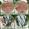 Climbing Houseplant Stem Supports,4Pcs Clear Plastic Flower Plant Growth Stake
