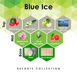 Blue Ice 4 oz Refill for Oil Diffuser with Watermelon, Grapefruit, Blond Woods, & More Notes