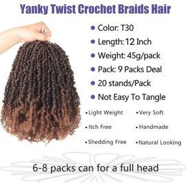 Datanala Yanky Twists Crochet Braiding Hair 12 Inch 9 Packs Crochet Hair with Curls Micro Spring Twists Crochet Hair Pre-looped Curly Crochet Braids Hair Extensions for Women (T30#, 12inch)
