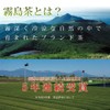 Katagoshima Sencha Special Selection Kagoshima Tea Japanese Tea Sencha Sencha