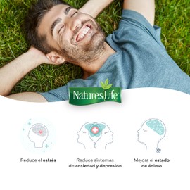 Nature´S Life Complejo B & Acido Folico 40Caps