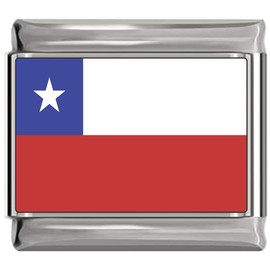 NewCharms Chile Flag Italian Charm Bracelet Jewelry Link