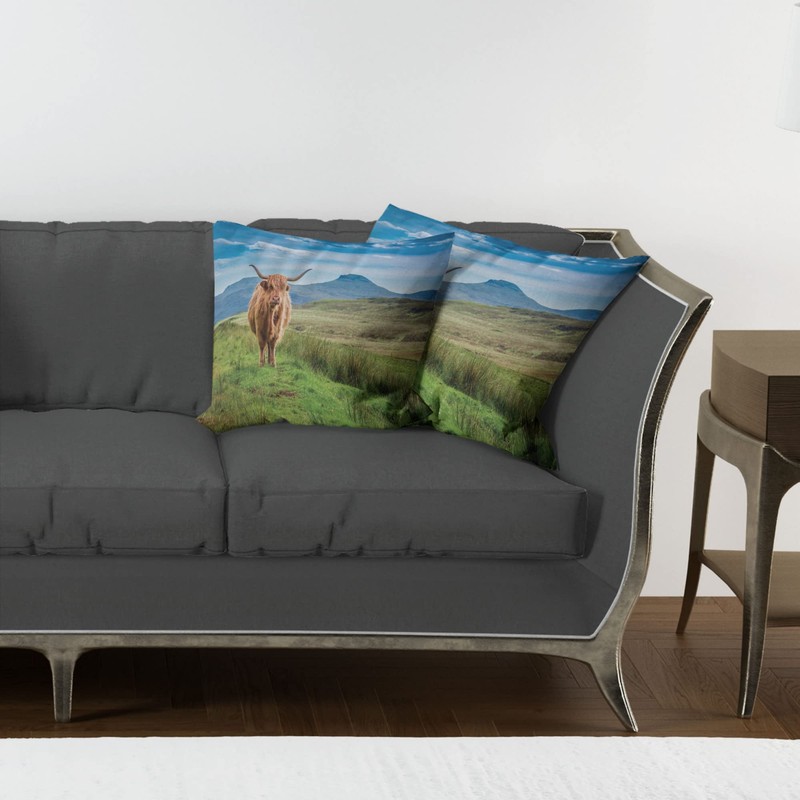 Lunarable Highland Cow Throw Pillow Cushion Cover Pack of 2,