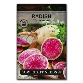 Sow Right Seeds Sow Right Seeds - Watermelon Radish Seed for Planting - Non-GMO Heirloom Packet with Instructions to Plant a Home Vegetable Garden - Unique & Rare Veggie, Watermelon-Like Coloring When Cut (1)