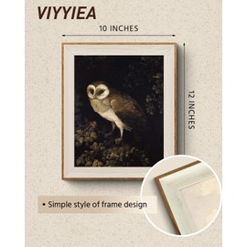 VIYYIEA Framed Canvas Wall Art, Vintage Wall Art for Living Room, Pets Animals Oil Painting Picture Summer Home Decor Bathroom Wall Decor Gifts for Friends or Family -【Owl】-(10"x12")