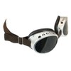Historical Emporium Men's Glacier Tinted Goggles Silver
