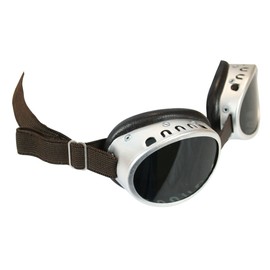 Historical Emporium Men's Glacier Tinted Goggles Silver