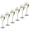 AIOS Set of 6 Unbreakable Triam BPA Free Champagne Flutes.