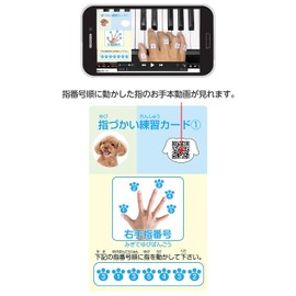 Finger Putting Practice Cards/Cards, Music, Piano, Beginner, Palm Size, Lesson Supplies, Self-Taught