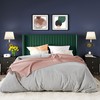 Allewie Queen Size Bed Frame/Velvet Upholstered Platform Bed/Vertical Channel Tufted