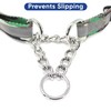 Pawtitas Martingale Dog Collar with Chain a Reflective Dog Training