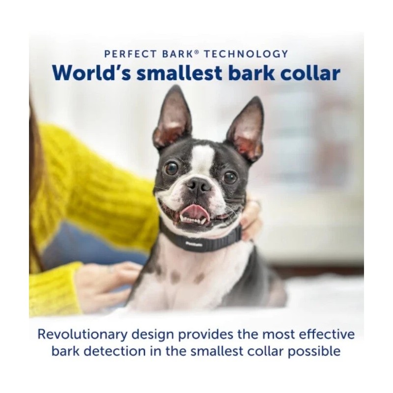PetSafe PBC00-17758 NanoBark™ Collar | World's Smallest Bark Collar
