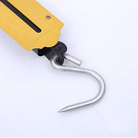 TOOLSTAR Spring Balance Scale 25KG Pocket Mechanical Spring Balance Weighing Scale with Hanging Loop for Kitchen and Finshing Use (Pack of 1pc)