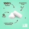 PUR Gum | Aspartame Free Chewing Gum | 100% Xylitol