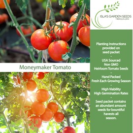 The Moneymaker Tomato Seeds (Solanum lycopersicum) – 100+ Heirloom Non-GMO Seeds by Isla’s Garden Seeds, Indeterminate High-Yield Slicer, Classic Red Flavor, Garden & Greenhouse Favorite