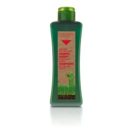 Salerm® Biokera Natura Shampoo Anti Caída Y Anti Caspa 1 Lt