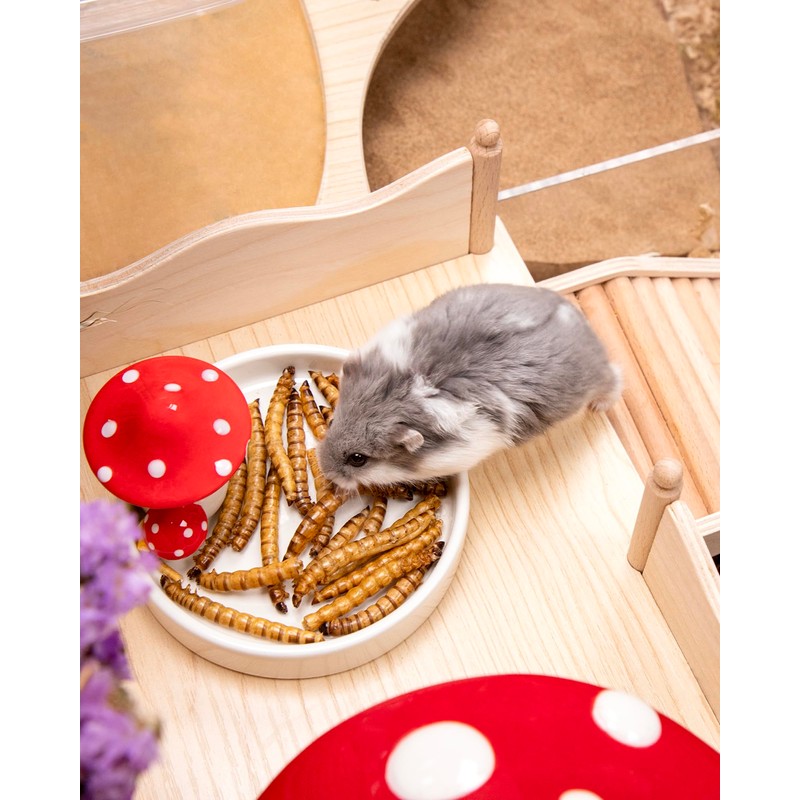 Niteangel Hamster Snack & Treats Toy - Small Animal Natural