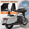 HECASA Detachable Backrest Sissy Bar Compatible with 2009-2024 Harley Touring