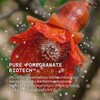 Omia Oxygenium, Trattamento Corpo Esfoliante Purificante, Leviga la Pelle e