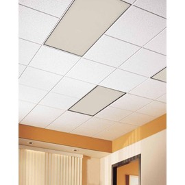 Futuregrace Magnetic Light Cover for Classroom Drop Ceiling,4 Pack 4x2 Ft Fluorescent Light Covers for Office Home Ceiling Light Beige Solid Color Lampshade, White Swan