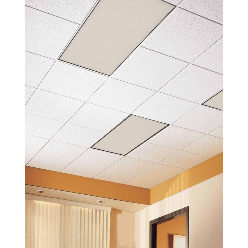 Futuregrace Magnetic Light Cover for Classroom Drop Ceiling,4 Pack 4x2