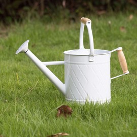 HORTICAN 1 Gallon Watering Can with Wooden Handles, White Watering Can, Metal Watering Can with Removable Spout, Galvanized Watering Can, Perfect Plant Watering Can for Indoor Use and for Outdoor Use