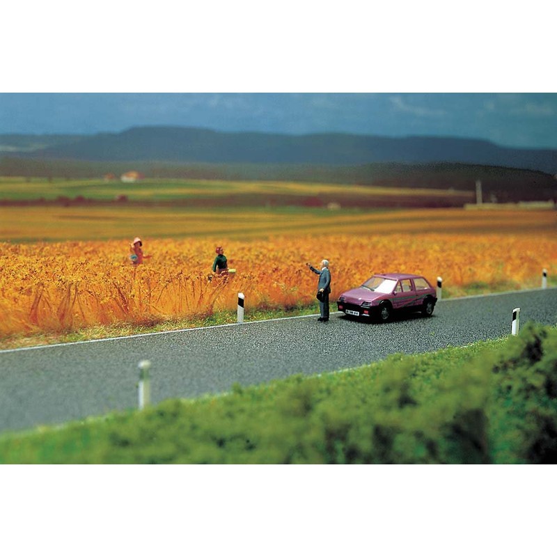 Busch 6034 - Landstraße HO/TT