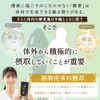 Luxury White Shrimp Premium Enzyme Chazuke | Diet Chazuke Supervised