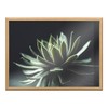 Kate and Laurel Blake Warrior Succulent Framed Printed Glass Natural
