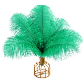 iHUFeather 10pcs Grass Green Ostrich Feathers Natural Bulk 12-14Inch 30-35cm for Wedding Party Centerpieces Easter and Home Decorate Ostrich Feathers