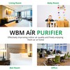 WBM SMART Air Purifier Replacement Filter, 3-in-1 True HEPA, High-Efficiency