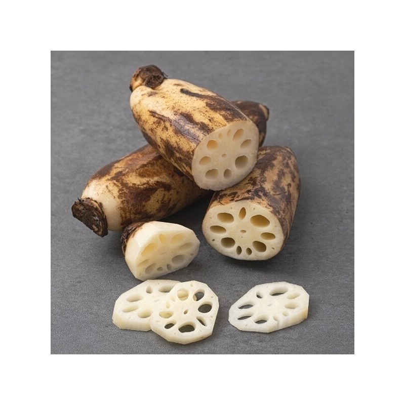The Jo Eun Fresh Domestic Lotus Root (Special) 4kg /