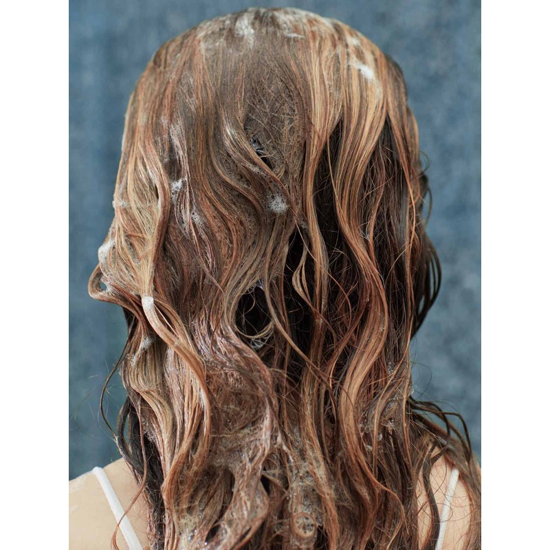 YOPE Shampoo | Oily Scalp | Microexfoliates | Moistursing |
