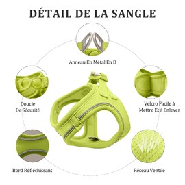 Qianruida Harness for Dogs, Pet Harness, Vest Style Leash for Dogs, Reflective and Breathable Leash for Small and Medium Cats (Lemongreen, L)