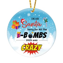 HEYINSEHN Funny Bomb Christmas Ornament Christmas Ornament Bombs Dear Santa Sorry for All The Bombs 2024 was Crazy Funny Ornament Ceramics Christmas Ornament Xmas Tree Decor Ornament Xmas Gifts