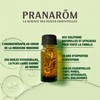 Pranarom Peppermint BIO Chemo Type Essential Oil 0.3 fl oz