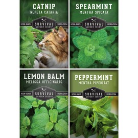 Survival Garden Seeds Mint Collection Seed Vault - Peppermint, Spearmint, Lemon Balm and Catnip Seeds - Grow Herbal Tea & Culinary Herbs - Non-GMO Heirloom Herbs for Outdoor and Indoor Gardens