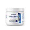 Creatina Monohidrato 100% pura | Libre de azucares | Libre