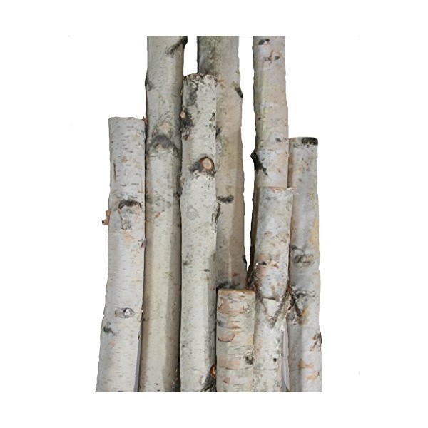 White Birch Pole Pack (Large) Set of 3 White Birch Poles: 1.5-2.5 inch Diameter x 5, 6, and 7 feet Long